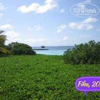 фото из отзыва ID 2705945