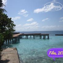 фото из отзыва ID 2705945