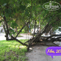 фото из отзыва ID 2705945