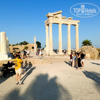 фото из отзыва ID 2705979