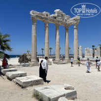 фото из отзыва ID 2706014