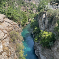 фото из отзыва ID 2706014