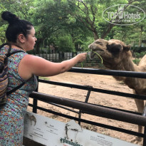 фото из отзыва ID 2705974