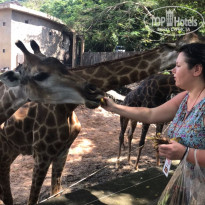 фото из отзыва ID 2705974