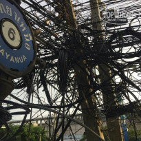 фото из отзыва ID 2705974