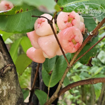 фото из отзыва ID 2706029