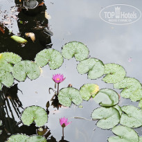 фото из отзыва ID 2706029