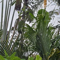 фото из отзыва ID 2706029