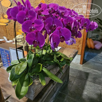 фото из отзыва ID 2706029