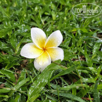 фото из отзыва ID 2706029