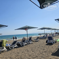 фото из отзыва ID 2705855