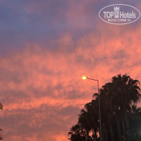 фото из отзыва ID 2706044