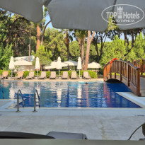 фото из отзыва ID 2706046