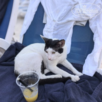 фото из отзыва ID 2706050