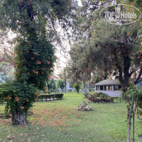 фото из отзыва ID 2706065