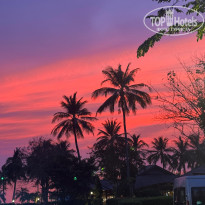 фото из отзыва ID 2706117