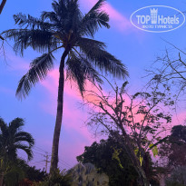 фото из отзыва ID 2706117