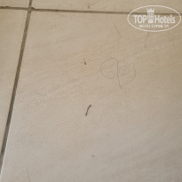 фото из отзыва ID 2706131