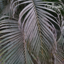 фото из отзыва ID 2706131