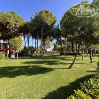 фото из отзыва ID 2706143