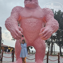 фото из отзыва ID 2706186