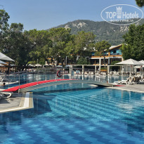 фото из отзыва ID 2706186