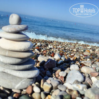 фото из отзыва ID 2706197