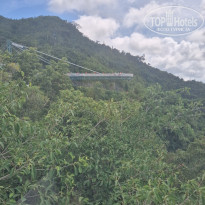 фото из отзыва ID 2706212