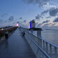 фото из отзыва ID 2706212