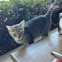 фото из отзыва ID 2706248