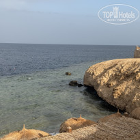 фото из отзыва ID 2706259