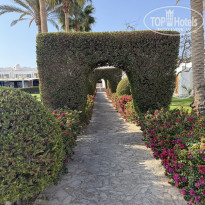 фото из отзыва ID 2706259