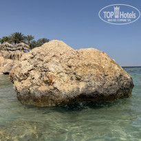 фото из отзыва ID 2706259