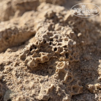 фото из отзыва ID 2706259