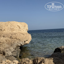 фото из отзыва ID 2706259