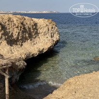 фото из отзыва ID 2706259