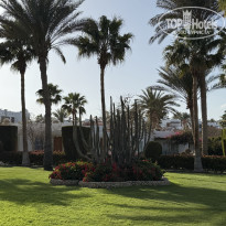 фото из отзыва ID 2706259