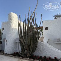 фото из отзыва ID 2706259