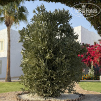 фото из отзыва ID 2706259