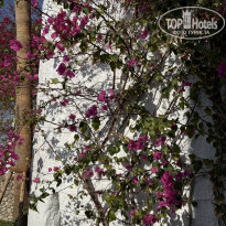 фото из отзыва ID 2706259