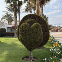 фото из отзыва ID 2706259