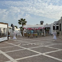 фото из отзыва ID 2706259