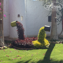 фото из отзыва ID 2706259