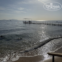 фото из отзыва ID 2706259