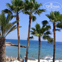 фото из отзыва ID 2706287