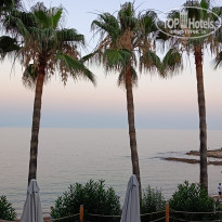 фото из отзыва ID 2706287