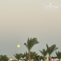 фото из отзыва ID 2706286