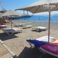 фото из отзыва ID 2706349