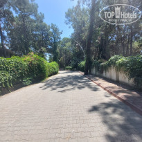 фото из отзыва ID 2706349