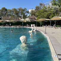 фото из отзыва ID 2705117